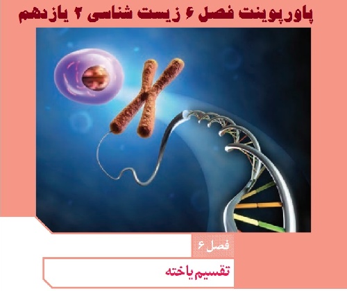 گفتار 1 فصل ششم زیست شناسی پایه یازدهم تجربی (گفتار1 کروموزوم) 13 اسلاید ppt