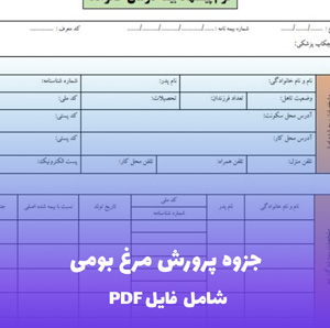 جزوه پرورش مرغ بومی فایل PDF | راهنمای کامل نگهداری و سودآوری