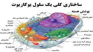 پاورپوینت درس سوم سلول و اندامک های آن